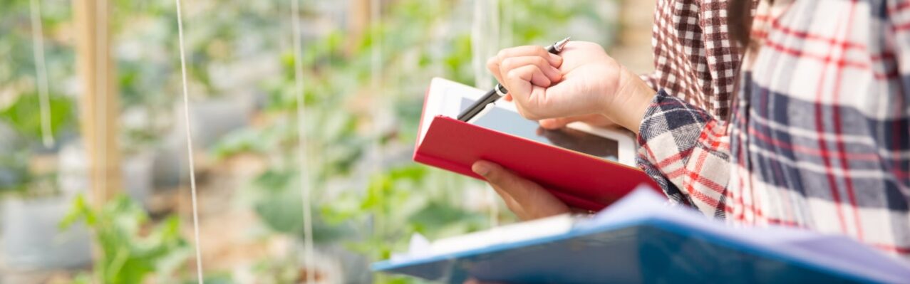 agronomist-examines-growing-melon-seedlings-farm-farmers-researchers-analysis-plant.jpg