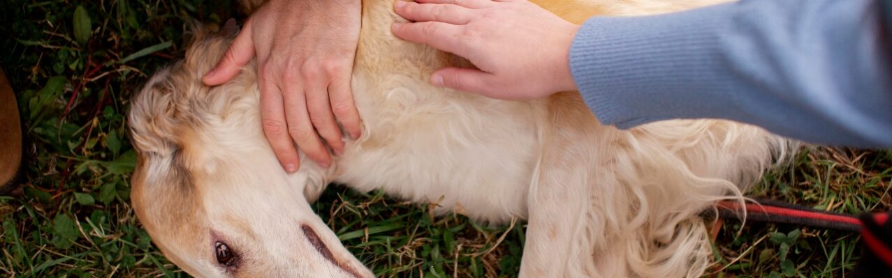 close-up-farmer-spending-time-with-dog.jpg