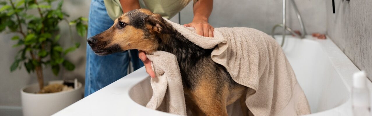 front-view-smiley-woman-washing-dog
