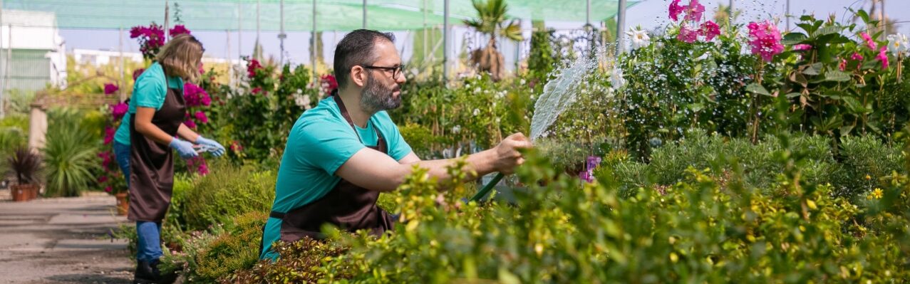 gardeners-aprons-growing-plants-greenhouse-using-hose-watering-man-apron-with-splashes-water-gardening-job-concept.jpg