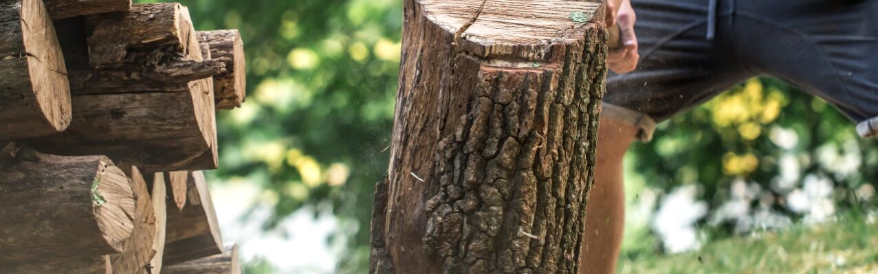 man-chopping-wood-with-axe.jpg