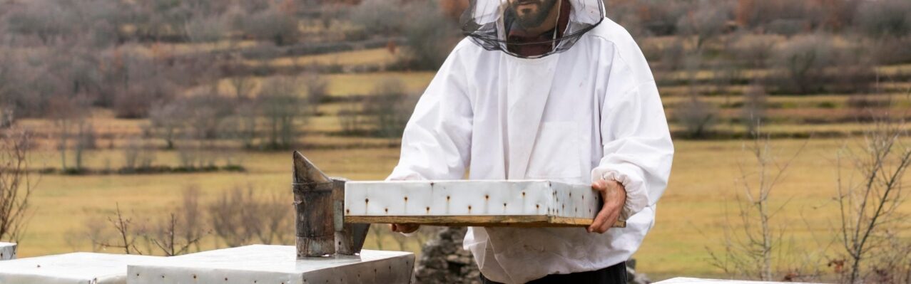 medium-shot-man-working-with-bees.jpg