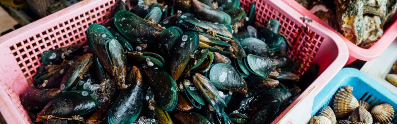 mussel-other-clam-market.jpg