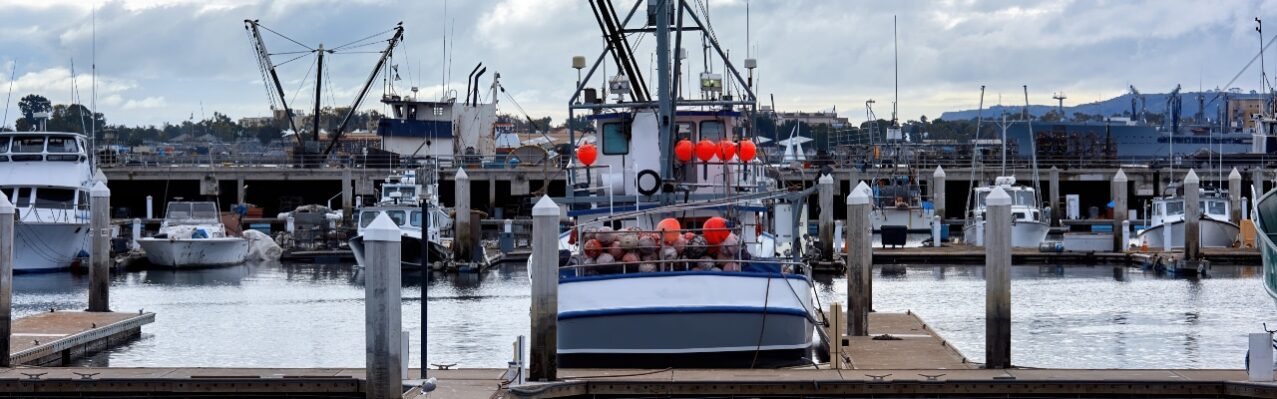 old-boats-port-pier-evening.jpg