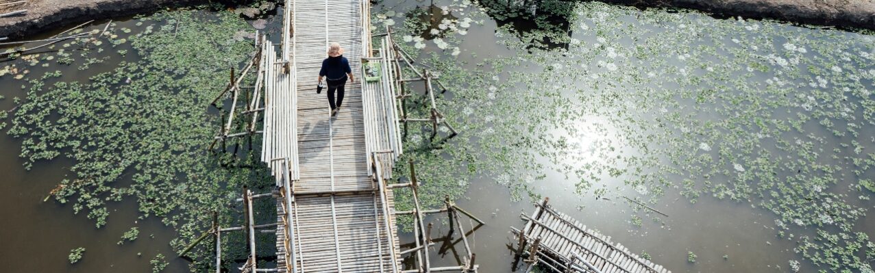 rice-field-people-bridge-walking-thailand.jpg