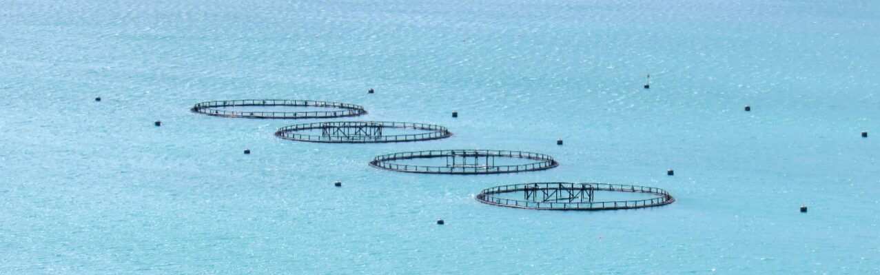 view-fish-farms-scotland-united-kingdom.jpg