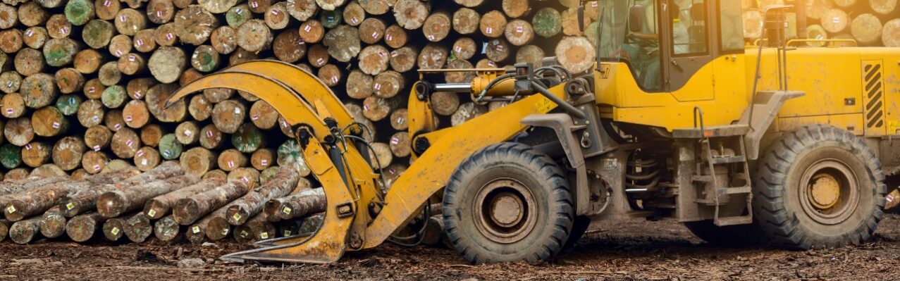 wood-processing-factory