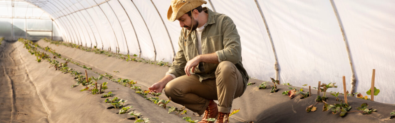 agricultor-inspeccionando-cultivos-de-plantas-en-su-granja.jpg